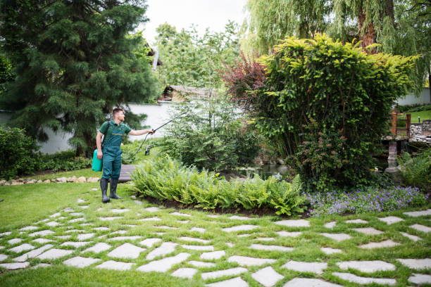 Best Pest Inspection Near Me  in Speers, PA