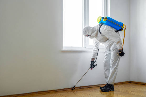 Best Termite Control Services  in Speers, PA