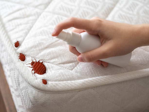 Best Pest Inspection Near Me  in Speers, PA