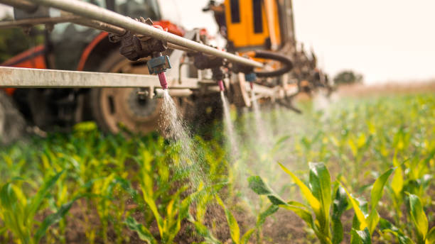 Best Ant Control Services  in Speers, PA