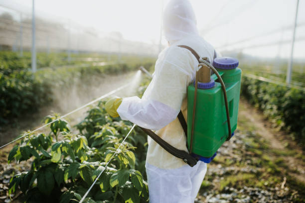 Best Exterminator Services  in Speers, PA